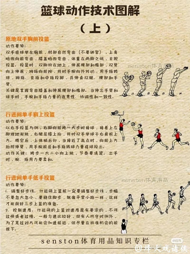 深入解析篮球世界杯下注技巧与策略